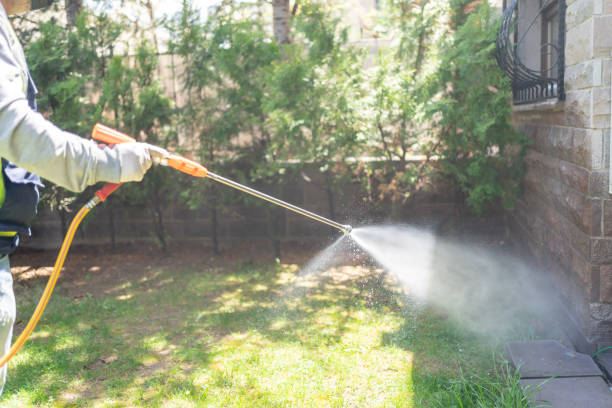 Outdoor Pest Control in Galesville, MD